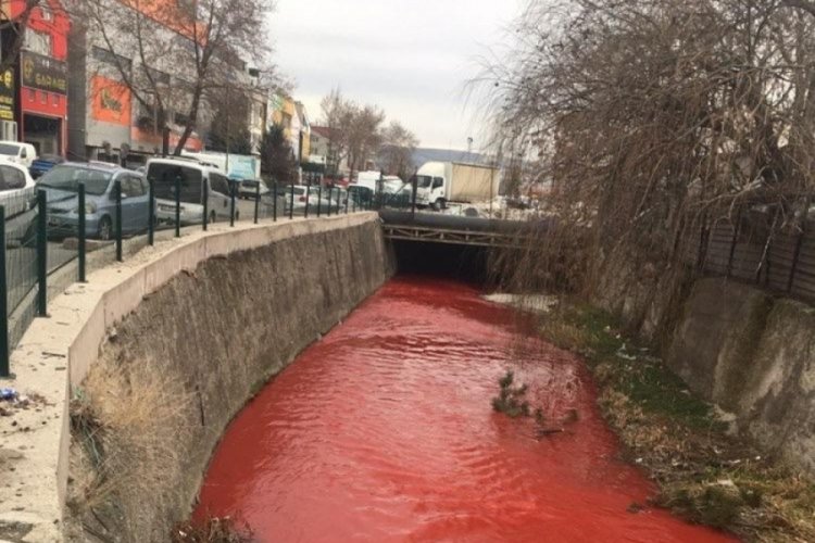 Ankara &Ccedil;ayı kırmızıya boyandı