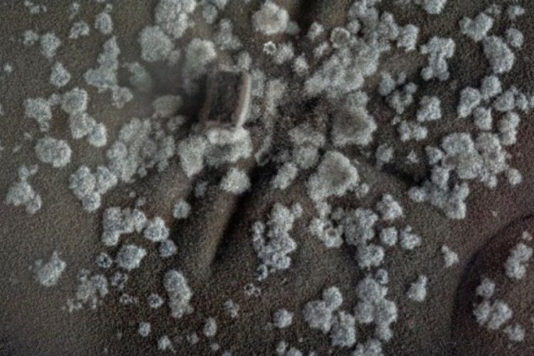 Covid-19'dan bile tehlikeli: Nanomalzemeler beynimize giriyor