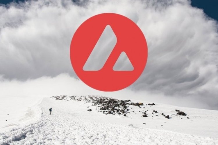 Avalanche 2021'de y&uuml;zde 1850 y&uuml;kseldi