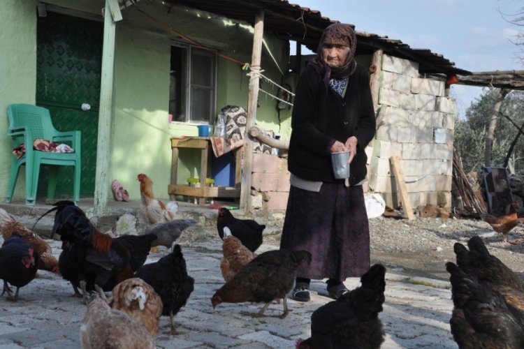 99 yaşındaki nine, sağlığını organik beslenmeye bor&ccedil;lu