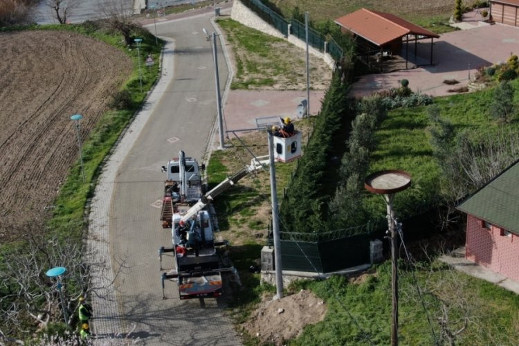 Bursa'nın leylek k&ouml;y&uuml;nde t&uuml;m yuvalar yenilendi