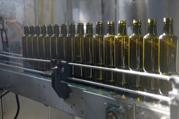 Zeytinyağındaki rekolte d&uuml;ş&uuml;ş&uuml;ne rağmen hedef 120 milyon dolarlık ihracat