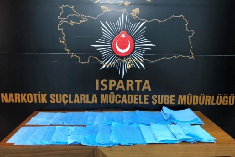 Kağıt havluda bonzai ele ge&ccedil;irildi
