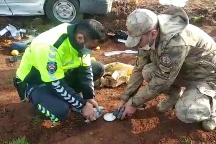 Minib&uuml;s&uuml;n altında kalan g&uuml;vercinleri g&uuml;venlik g&uuml;&ccedil;leri kurtardı