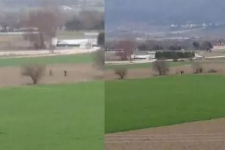K&ouml;peğe tecav&uuml;z ederken su&ccedil;&uuml;st&uuml; yakalanan şahsa 15 bin lira ceza