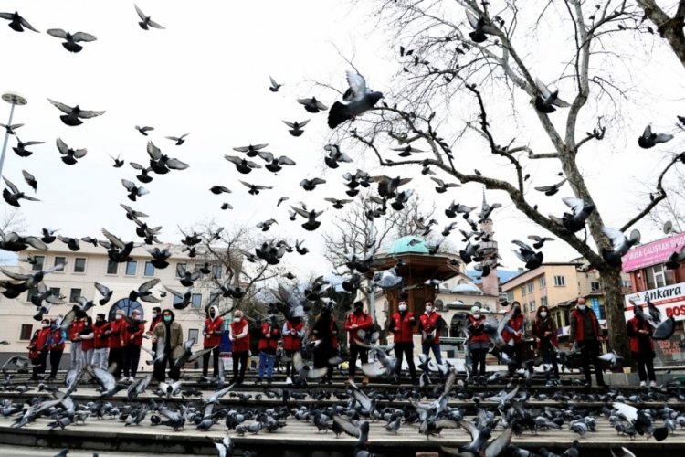 Bursa'da hayvan sevgisine yasak yok