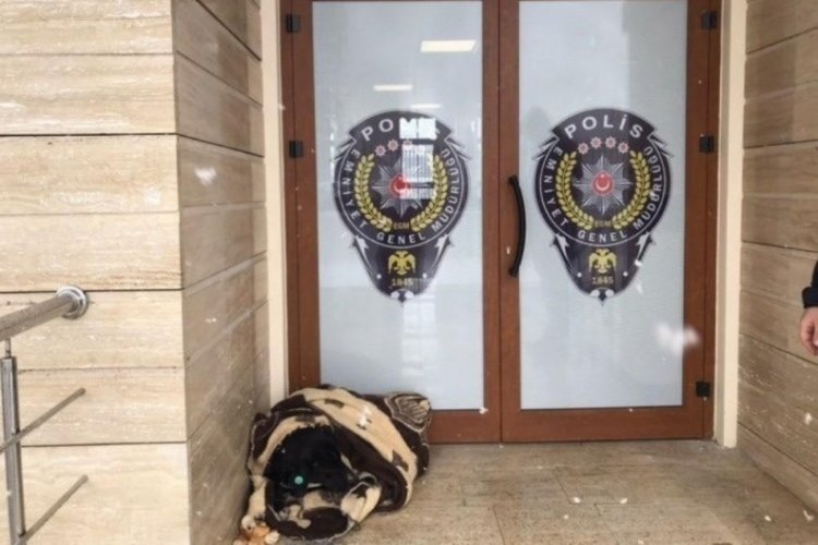 Kar yağışında &uuml;ş&uuml;yen k&ouml;peğin &uuml;zerine polis battaniye &ouml;rtt&uuml;
