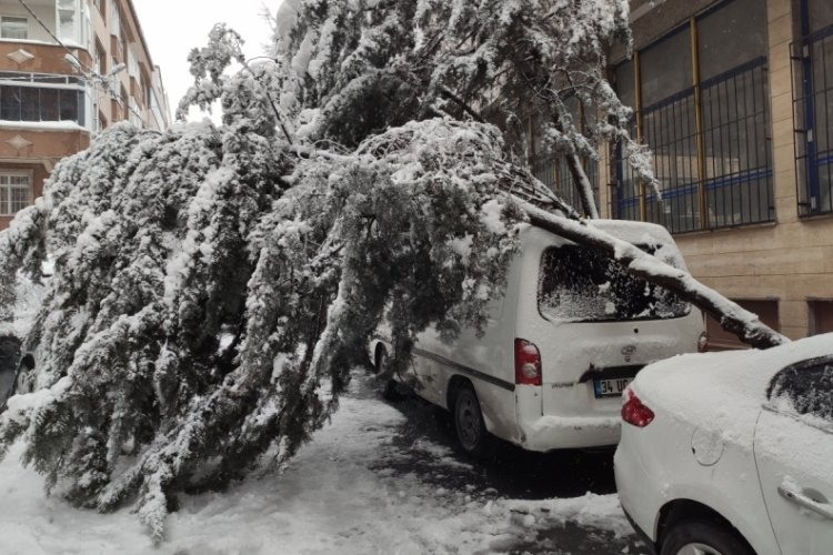 Kara dayanamayan ağa&ccedil;, aracın &uuml;st&uuml;ne devrildi