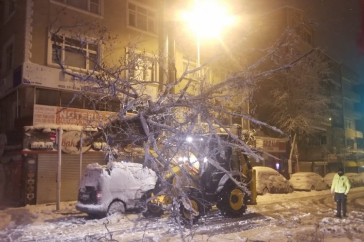 Ağa&ccedil; otomobilin &uuml;zerine devrildi