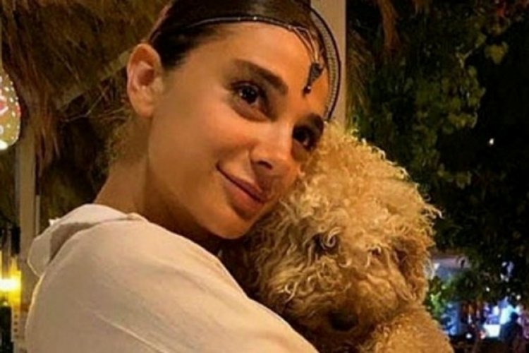 Pınar G&uuml;ltekin davasında katilin eşi dinlenecek