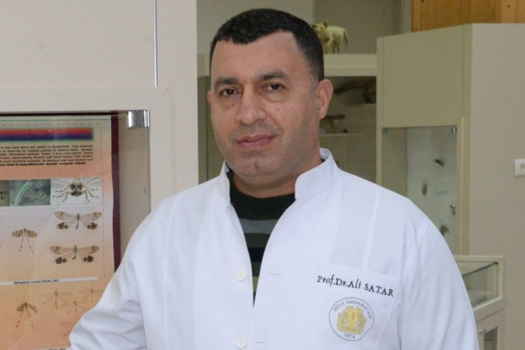 Profes&ouml;r Satar: Sivrisineklere karşı &ouml;nlem alınmalı