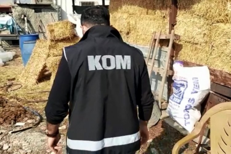 Adana'da 2 bin 600 litre sahte i&ccedil;ki ele ge&ccedil;irildi