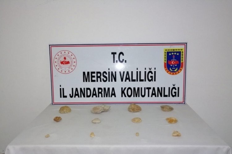 Mersin'de tarihi eser operasyonu