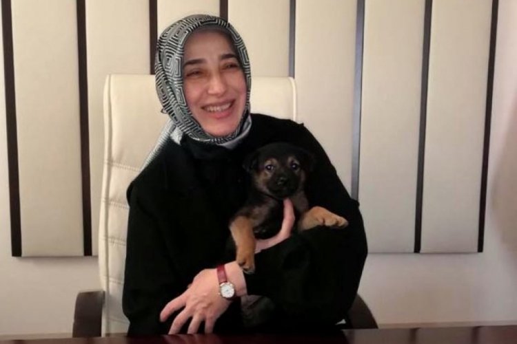 Zengin: Hayvan haklarına dair kanunu &ccedil;ok kısa s&uuml;rede tamamlayacağız
