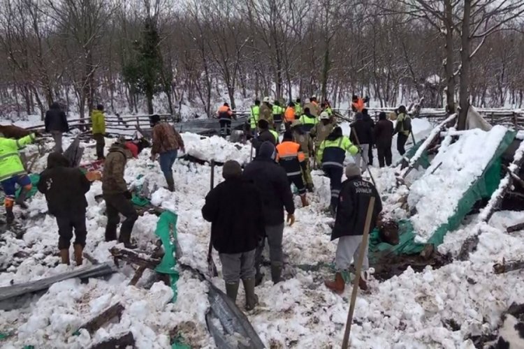 Kar nedeniyle ahırın &ccedil;atısı &ccedil;&ouml;kt&uuml;, hayvanlar telef oldu