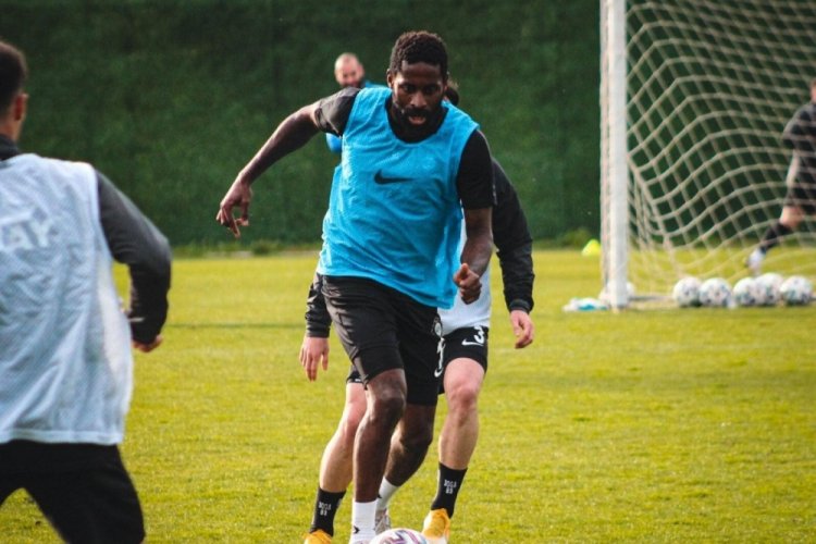 Altay'ın g&ouml;z&uuml; Poko'da