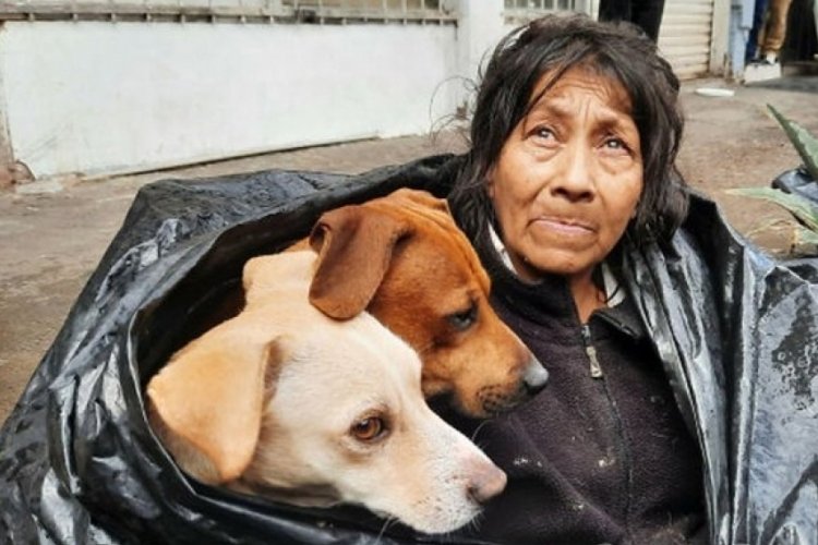 &Ccedil;abalar sonu&ccedil; verdi! K&ouml;peklerine bakabilmek &ccedil;&ouml;p poşetinde yaşıyordu...