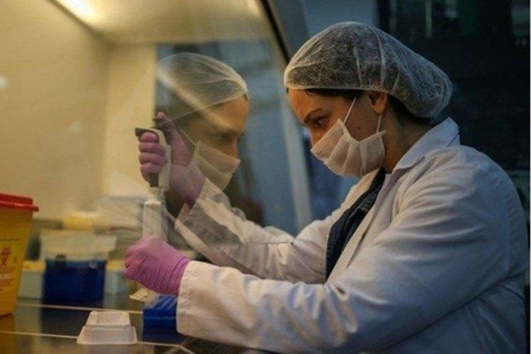 İşte en riskli corona vir&uuml;s senaryosu: Y&uuml;zden fazla hayvanda mevcut