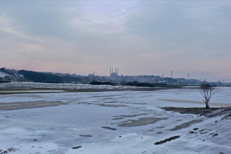 Edirne'de soğuk hava nedeniyle nehir kenarındaki tarlalar buz tuttu