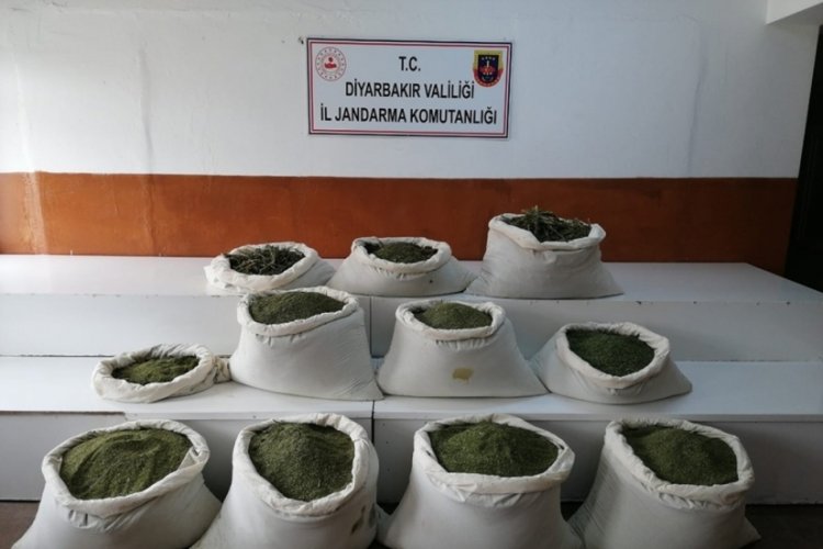 Lice'de dev uyuşturucu operasyonu