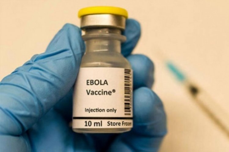 DSÖ, Gine'ye 11 bin doz ebola aşısı yollayacak