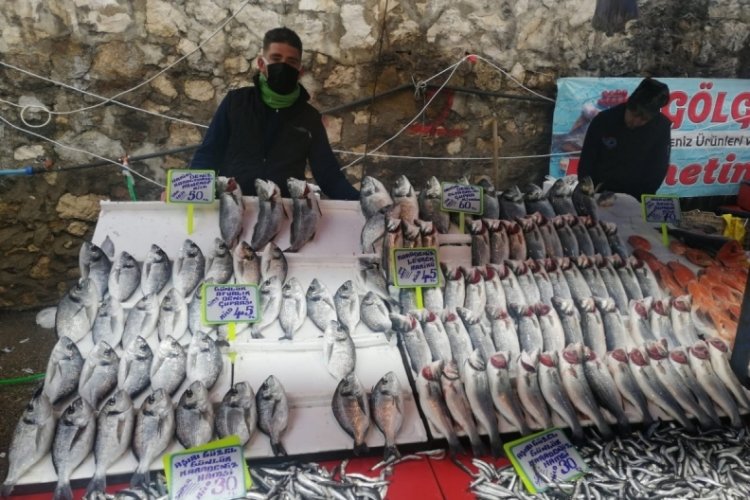 Bursa Mustafakemalpaşa'da balık tezgahlarını soğuk vurdu