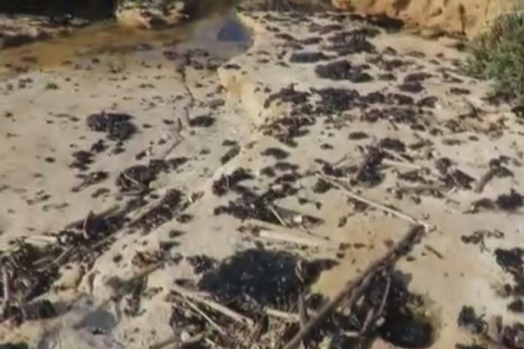 Akdeniz'deki petrol sızıntısı nedeni ile İsrail'de plajlar kapatıldı