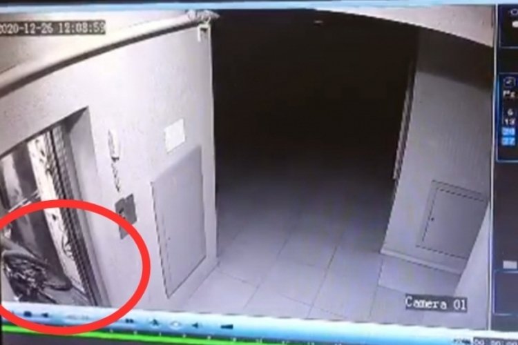 Bursa'da bisiklet hırsızlığı apartmanın güvenlik kamerasına takıldı