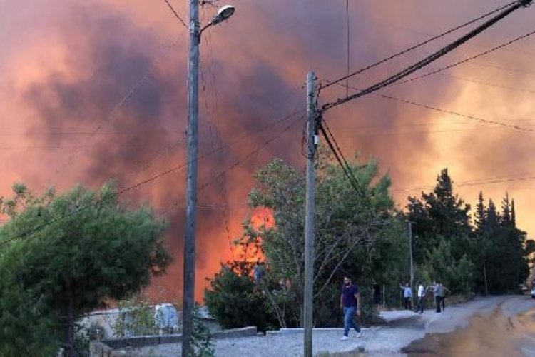 Hatay halkı ormanları yaktıran ter&ouml;ristin etkisiz hale getirilmesine sevindi