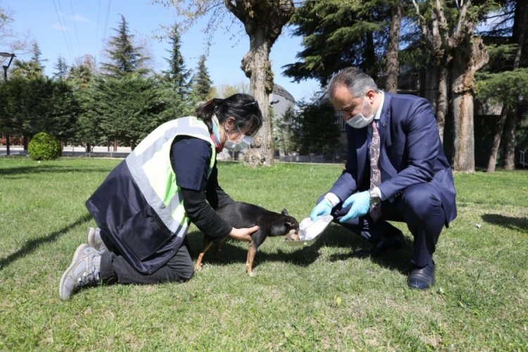 Bursa'da can dostlarına modern rehabilitasyon merkezi