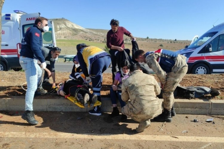Şanlıurfa'da otomobil ağaca &ccedil;arptı