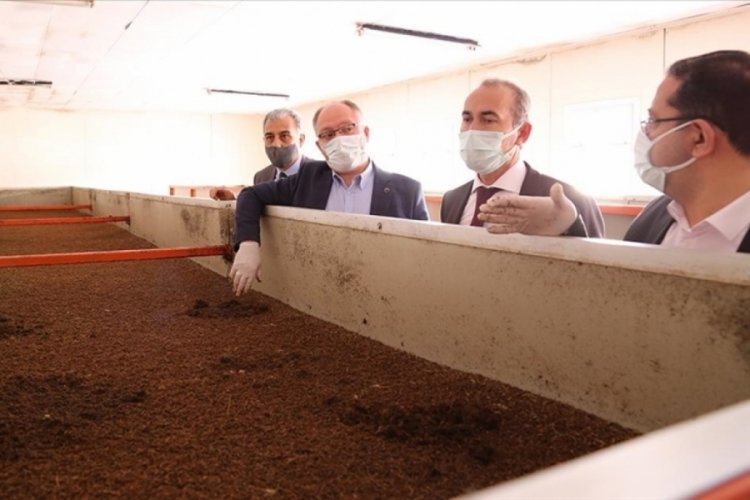 Sivas'ta çevreye ve ekonomiye katkı sağlayan tesiste 100 ton solucan gübresi üretildi