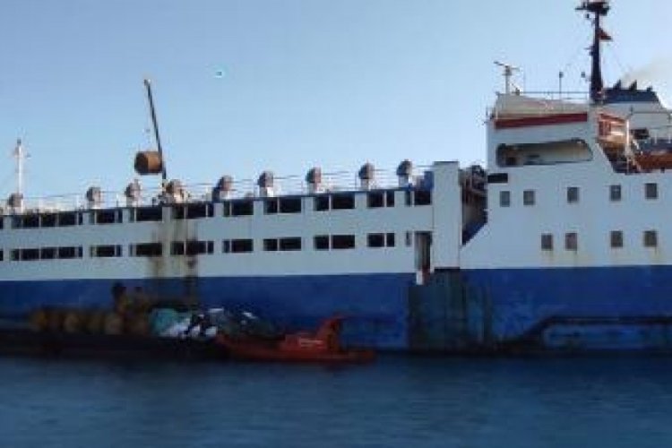 Hasta hayvan yüklü Kongo bayraklı gemi Kıbrıs'ta panik yarattı