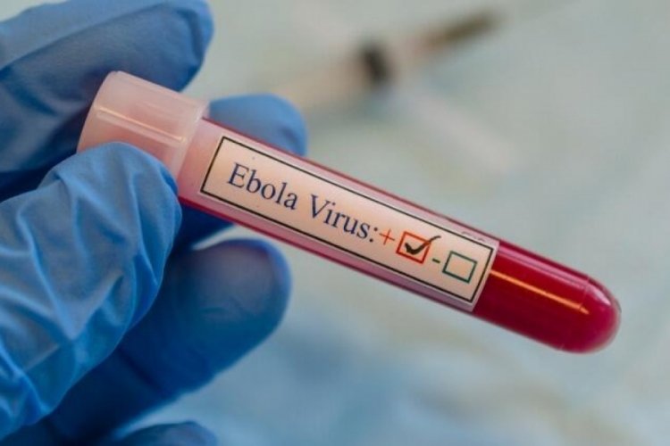 Belirtileri aynı: Ebola virüsü geri mi dönüyor?