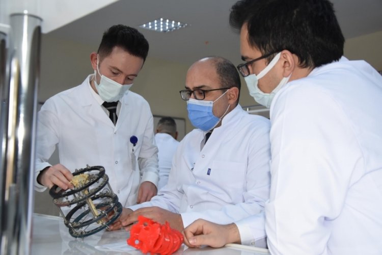 Türk bilim adamları, kudret narının kemik kırığı tedavisinde kullanılabileceğini ispatladı