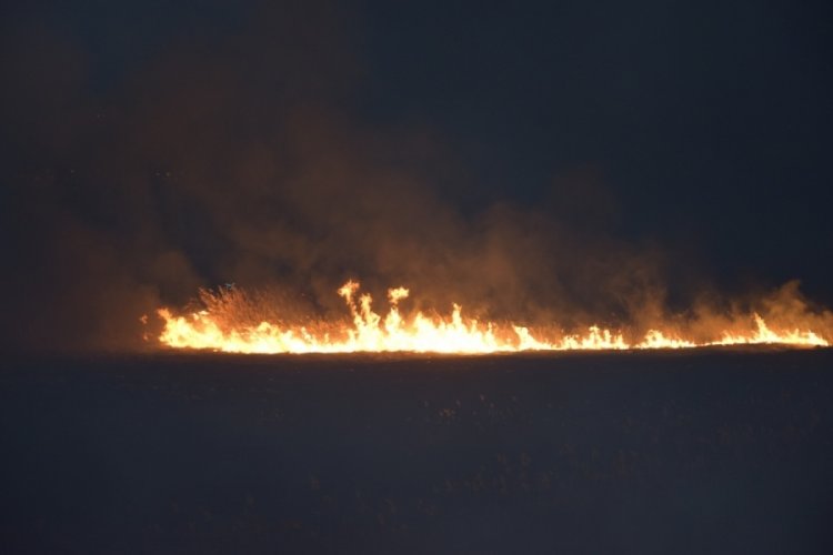 Burdur Gölü kıyısında korkutan sazlık yangını