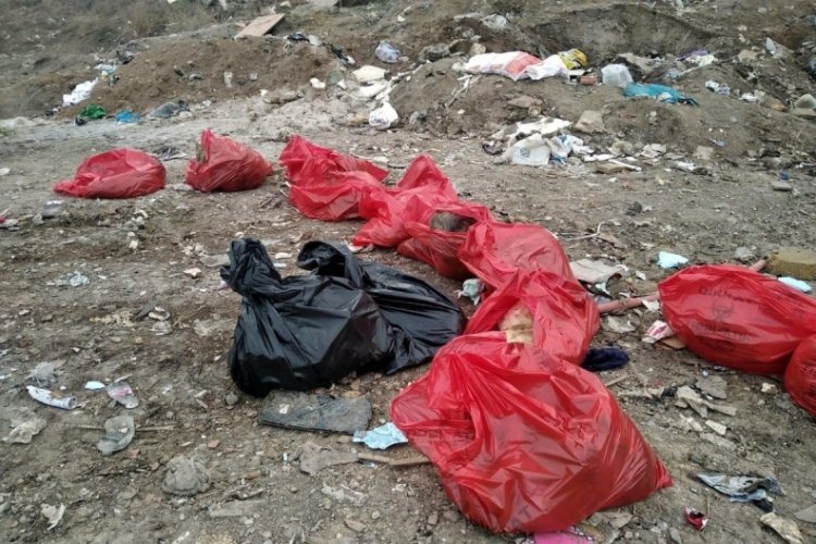 Ankara'da molozların arasında 20 &ouml;l&uuml; k&ouml;pek bulundu
