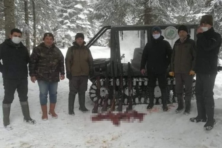 Koruma altındaki karacayı vurup par&ccedil;alara ayırdılar