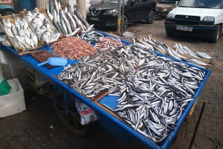 Balık fiyatları cep yakıyor