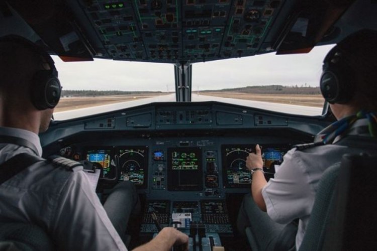 Kokpite giren kedi u&ccedil;uş esnasında pilotlara saldırdı