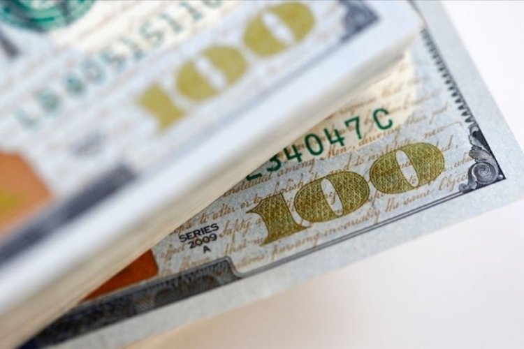 Finansal kesim dışı firmaların net d&ouml;viz a&ccedil;ığı azaldı