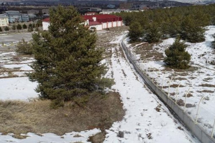 Sivas'ta domuz s&uuml;r&uuml;leri i&ccedil;in 4 kilometre duvar &ouml;r&uuml;ld&uuml;
