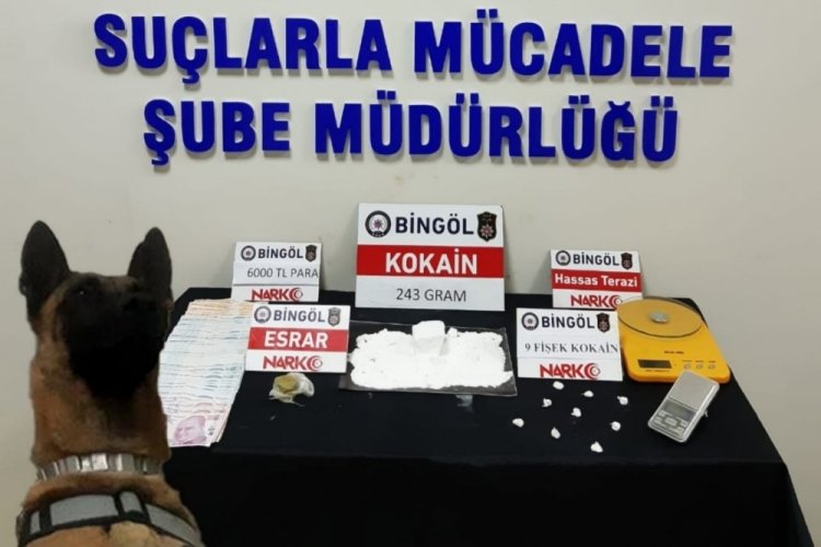 Bingöl'de uyuşturucu operasyonu: 4 gözaltı
