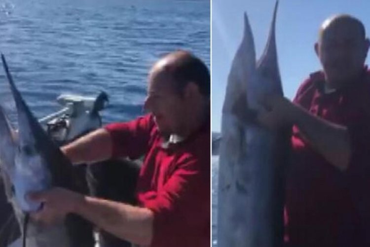 40 kiloluk dev kılıç balığını görenler şaştı kaldı
