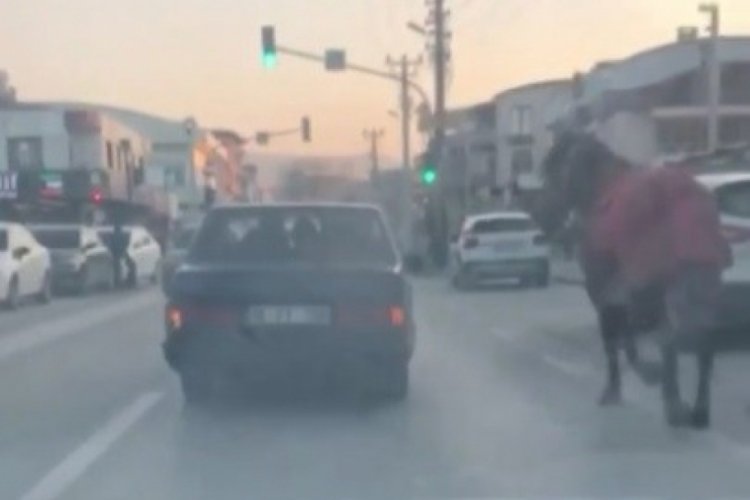 Bursa'da aracına at bağlayıp caddelerde koşturdu