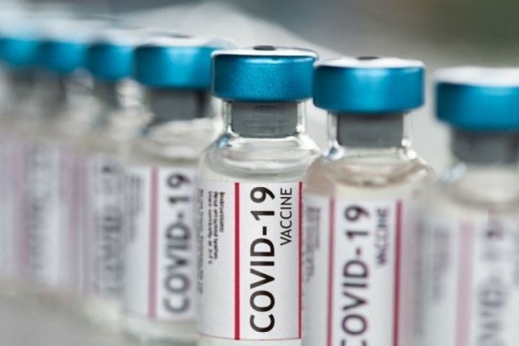 Aşı üreticileri Covid-19 aşılarından ne kadar kazanacak?
