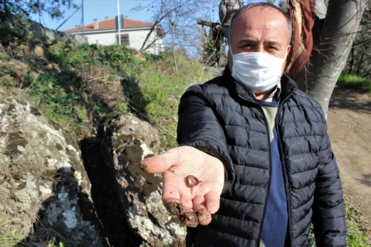 Bursa'da çocuğu olmayanlar kayanın etrafında dönüp çıkan böceği yutuyor