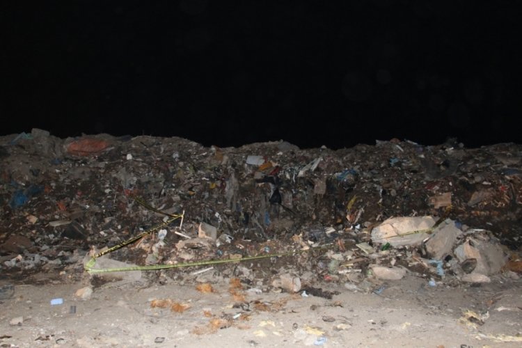 Yakılmış k&ouml;pek &ouml;l&uuml;s&uuml; bulundu