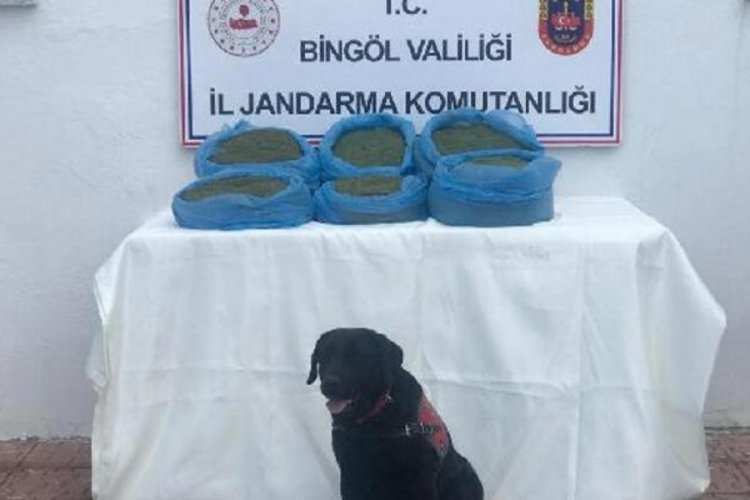 Bing&ouml;l'de 58 kilo esrar ele ge&ccedil;irildi