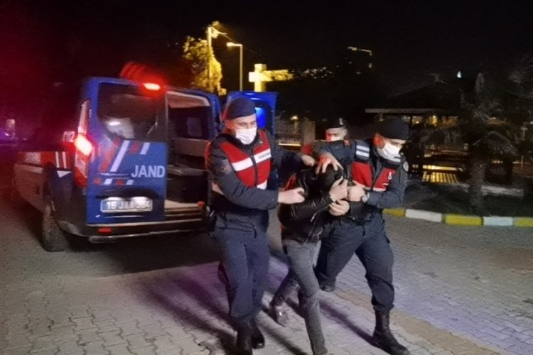 Bursa'da 3 kilogram bonzaiyi g&ouml;md&uuml;ğ&uuml; topraktan &ccedil;ıkartırken yakalandı